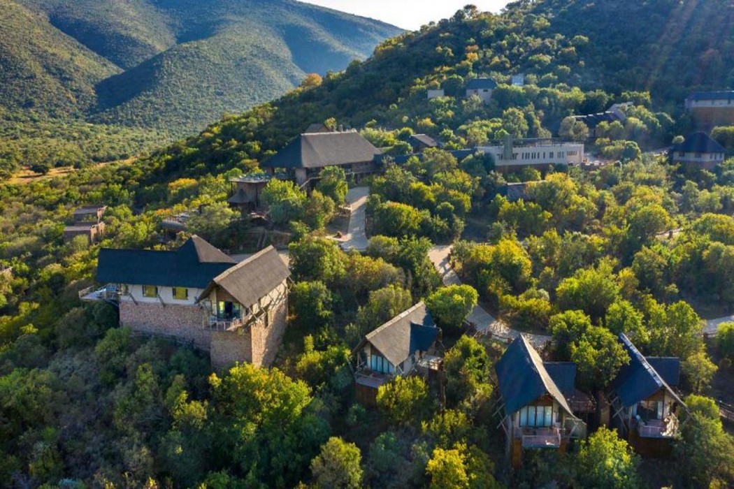 Babohi at Qwabi Private Game Reserve in THABAZIMBI