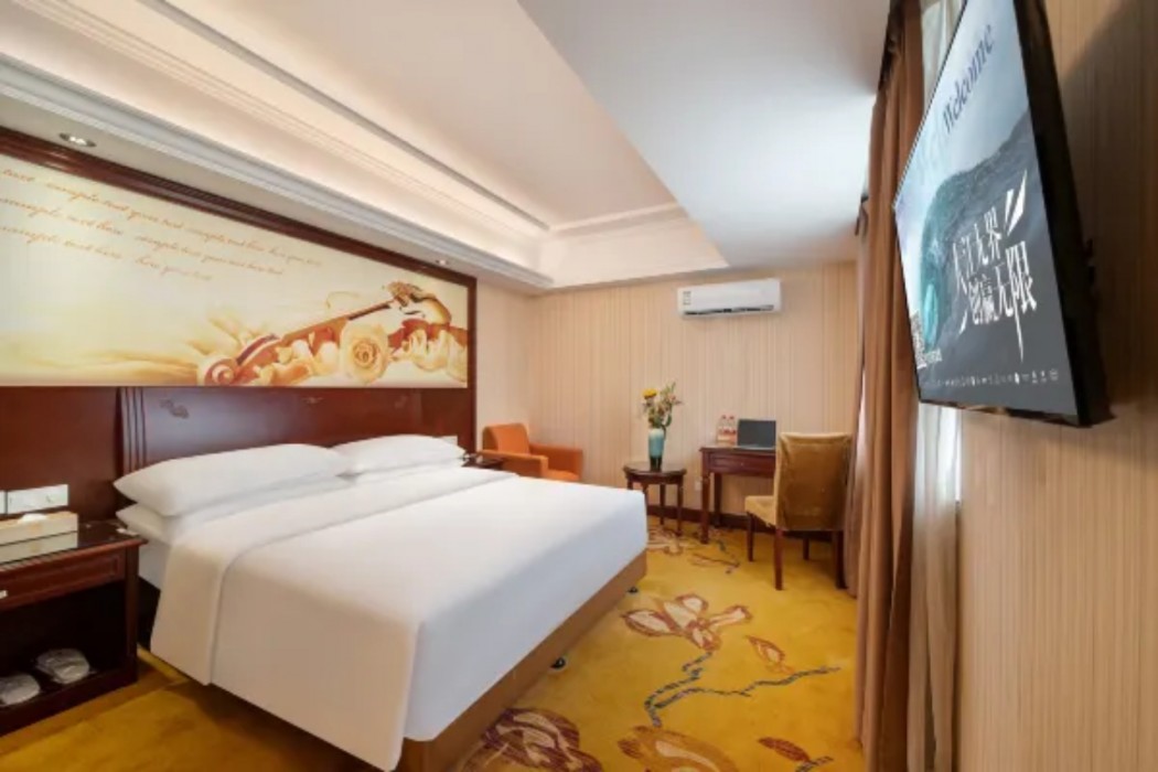 Vienna Hotel (Dongguan Chang'an Railway Station Bubugao) 25/46