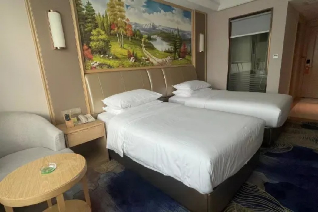 Vienna Hotel (Shenzhen Botanical Garden Road store) 29/52