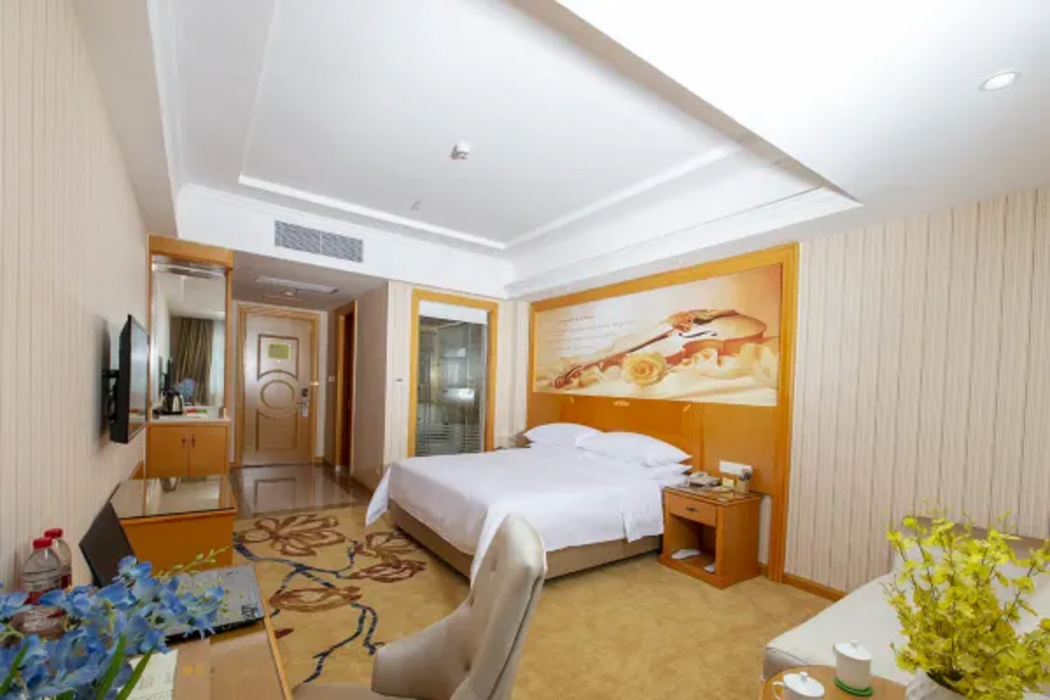 Vienna Hotel (Dongguan Dalang) 22/46