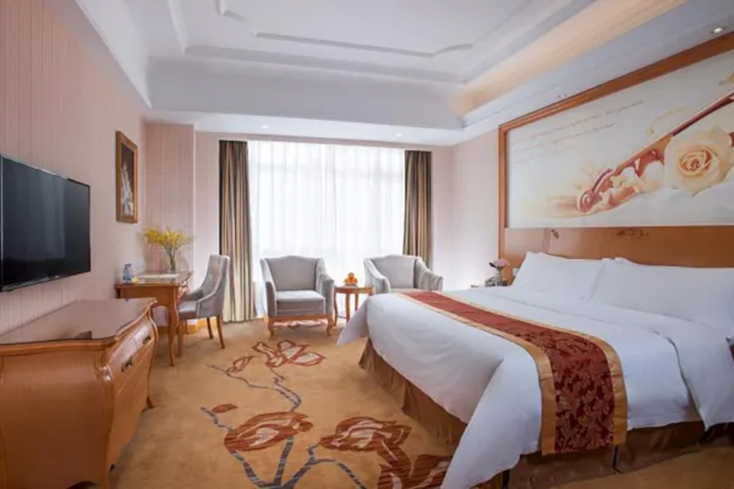 Vienna Hotel (Dongguan Dongcheng) 11/49