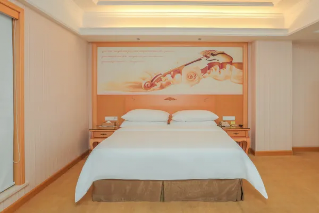 Vienna Hotel (Dongguan Dongcheng) 9/49