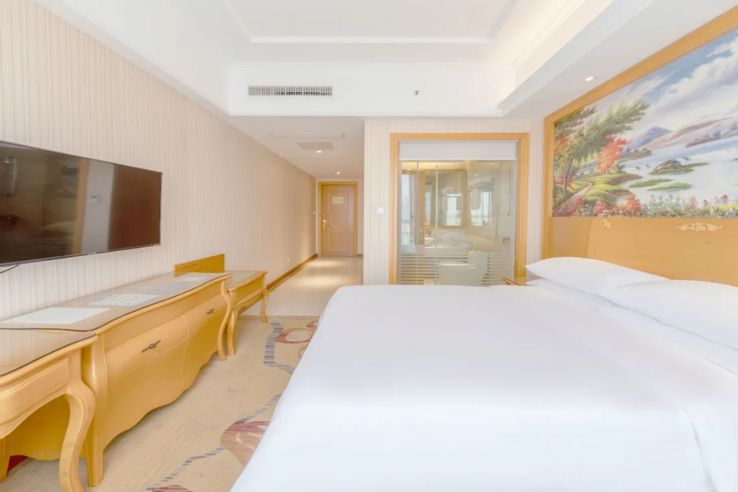 Vienna Hotel (Jiashan Old Town) 15/31