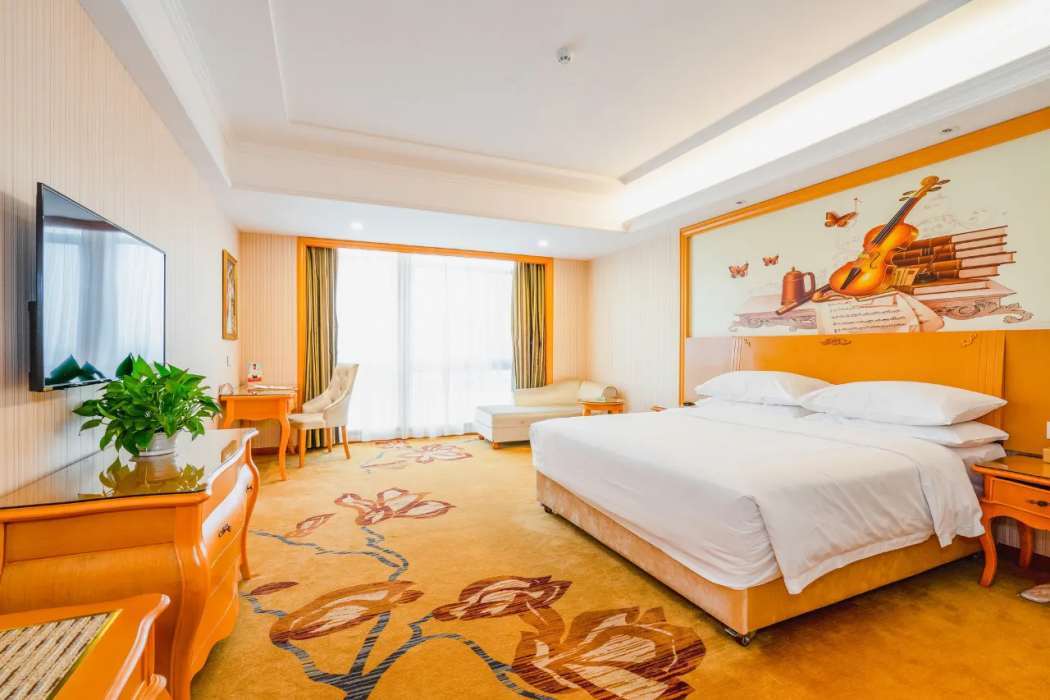 Vienna Hotel (Jiashan Old Town) 13/31