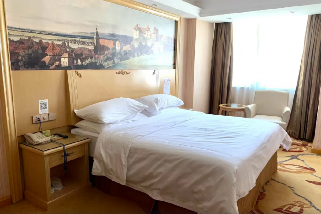 Vienna Hotel (Huizhou Railway Station) 16/35