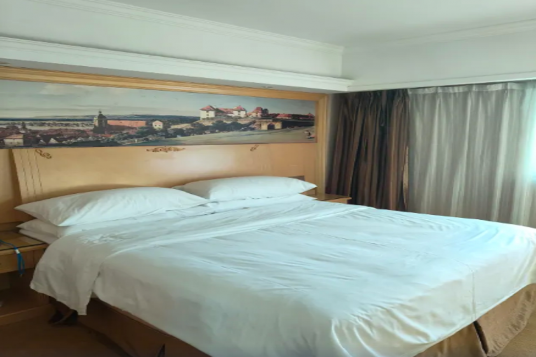 Vienna Hotel (Huizhou Railway Station) 12/35