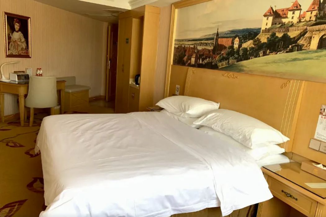 Vienna Hotel (Huizhou Railway Station) 14/35