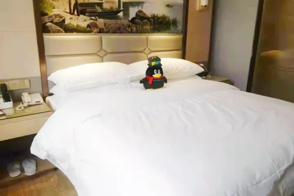 Vienna Hotel (Wuhan Jiangang Metro Station) 20/59
