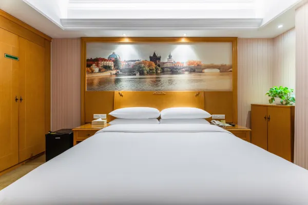 Vienna Hotel (Wuhan Lingjiaohu Wanda Metro Station) 25/54