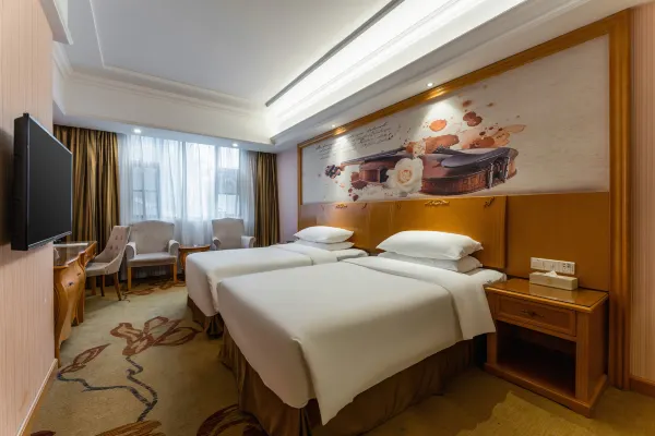 Vienna Hotel (Wuhan Lingjiaohu Wanda Metro Station) 27/54