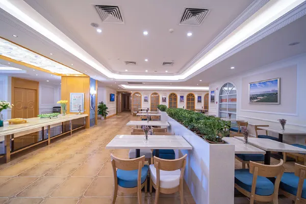 Vienna International Hotel (Wuhan Hanxi) 47/66