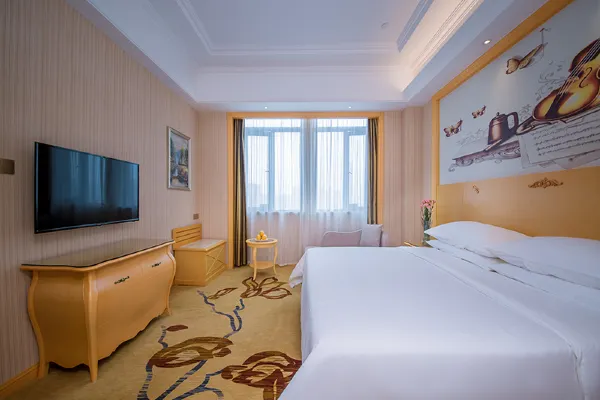 Vienna International Hotel (Wuhan Hanxi) 31/66