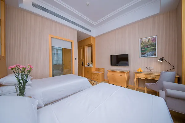 Vienna International Hotel (Wuhan Hanxi) 29/66
