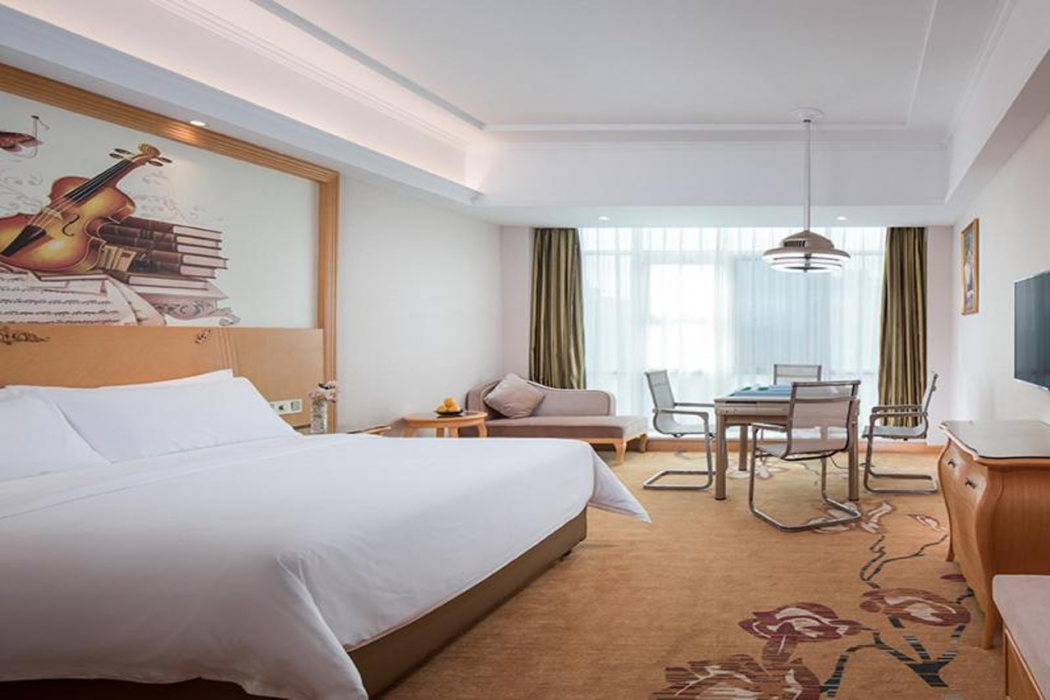 Vienna Hotel (Huizhoushi Lilin North Station) 16/58