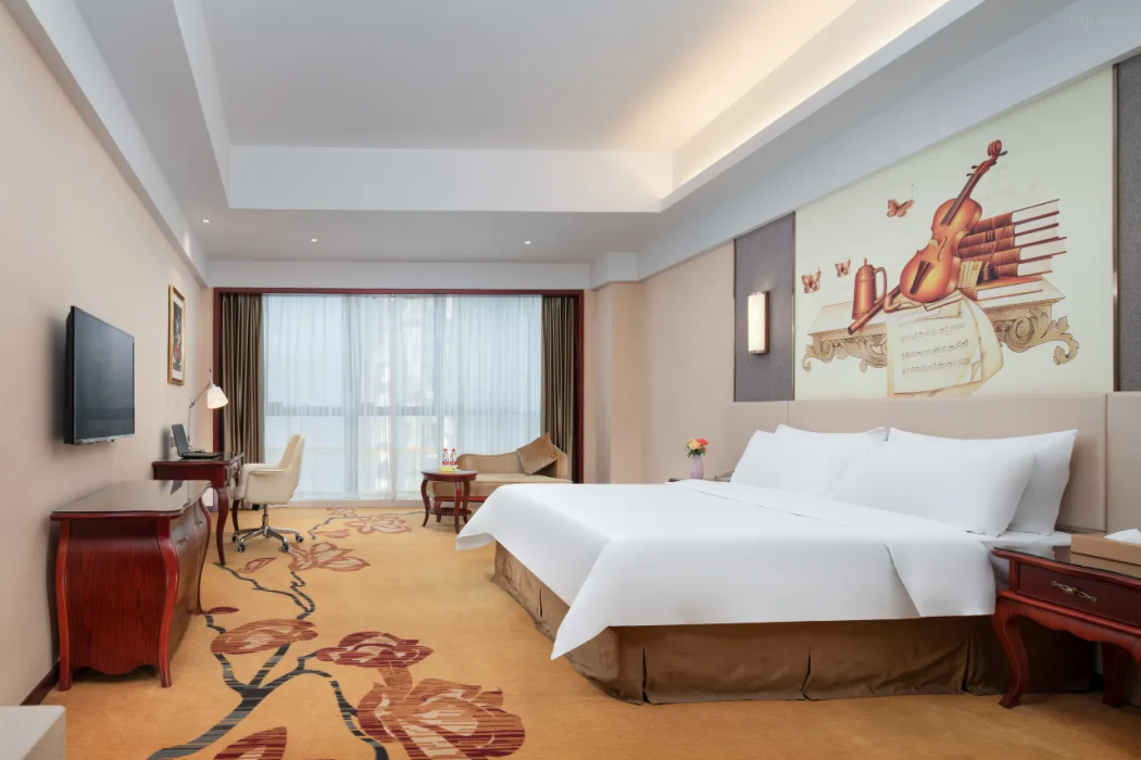Vienna International Hotel (Huiyang Municipal Square) 15/43