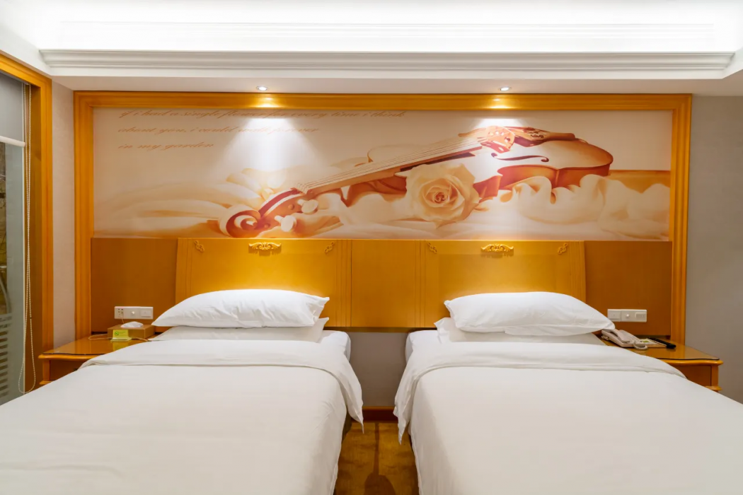 Vienna International Hotel (Huizhou Jiangbei Sanxin) 24/58