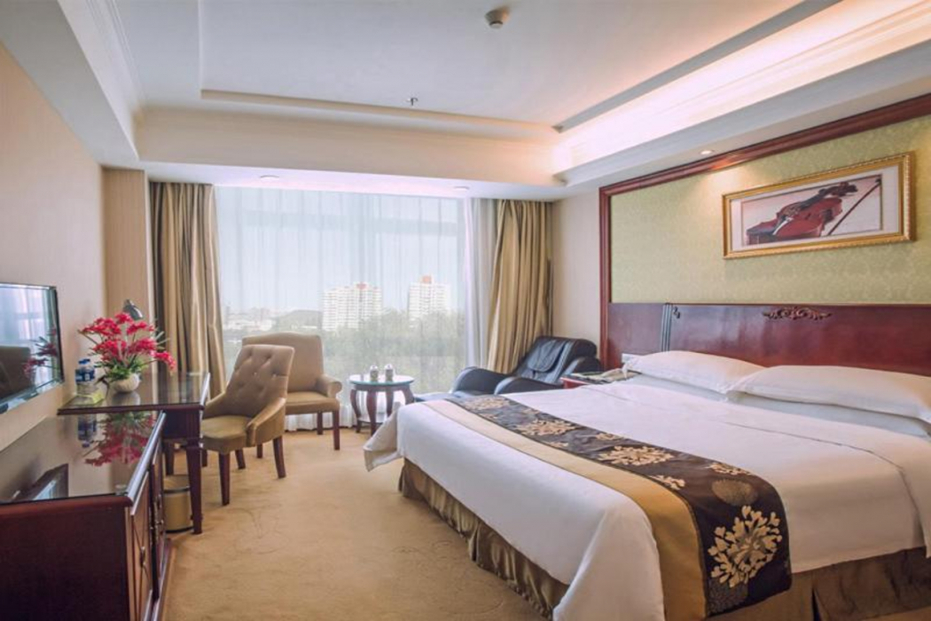 Vienna International Hotel (Huizhou South Railway Station, Wanda Plaza) 17/35
