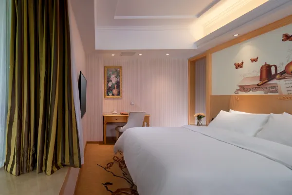 Vienna Hotel (Ledong Dongyuan) 16/46
