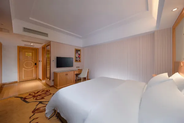 Vienna Hotel (Ledong Dongyuan) 13/46