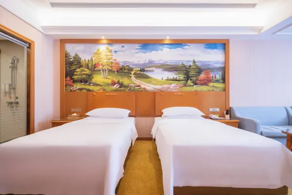 Vienna Hotel (Lingshui Center) 20/47