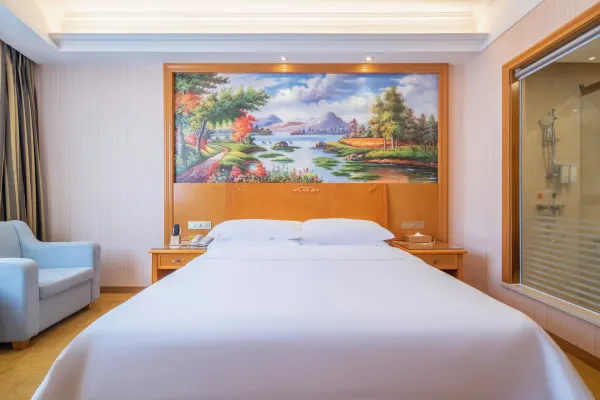 Vienna Hotel (Lingshui Center) 23/47