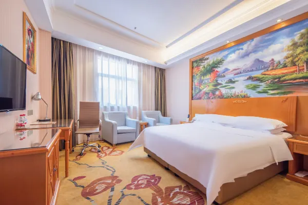 Vienna Hotel (Lingshui Center) 25/47
