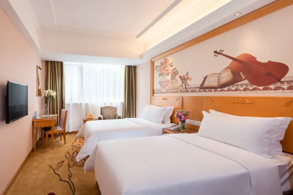 Vienna hotel (Huidong and run pedestrian street) 18/55
