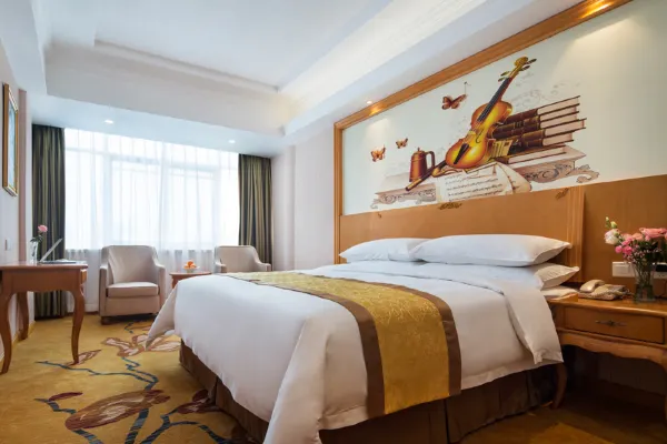 Vienna hotel (Huidong and run pedestrian street) 17/55