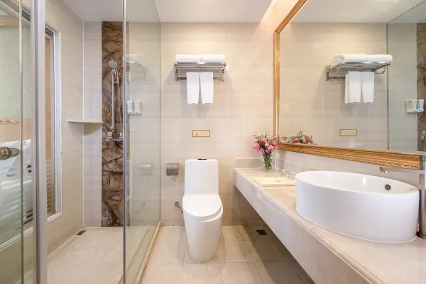 Vienna hotel (Huidong and run pedestrian street) 20/55