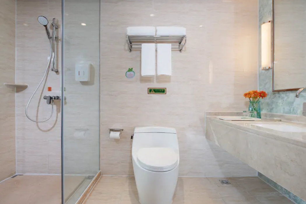 Vienna Hotel(Shangcai Qinxiang Road Branch) 5/8