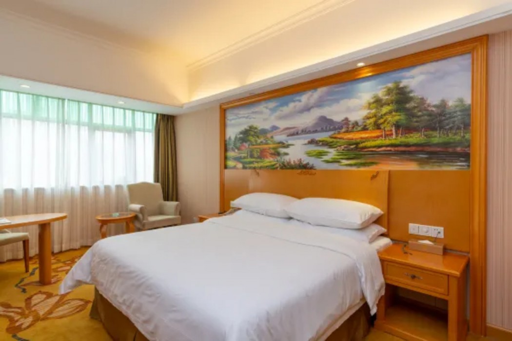 Vienna Hotel (Dayawan Xinliao) 9/18
