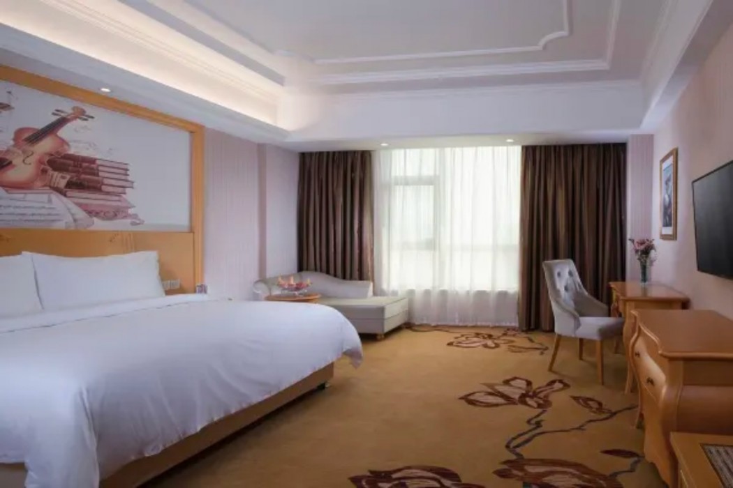 维也纳酒店Dayawan Xinliao(Vienna Hotel (Dayawan Xinliao))(Vienna Hotel (Dayawan Xinliao)) 图片5