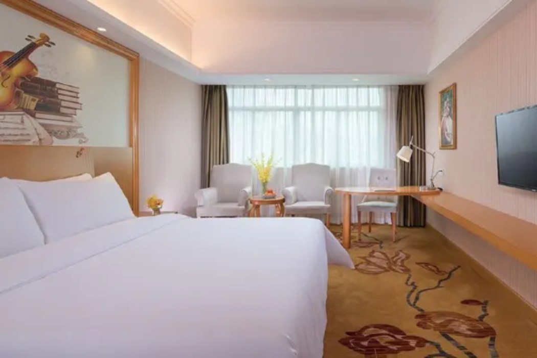 Vienna Hotel (Dayawan Xinliao) 7/18