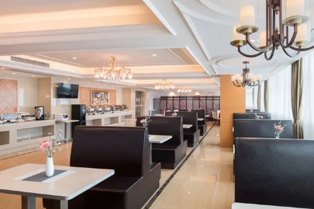 Vienna Hotel (Dayawan Xinliao) 12/18