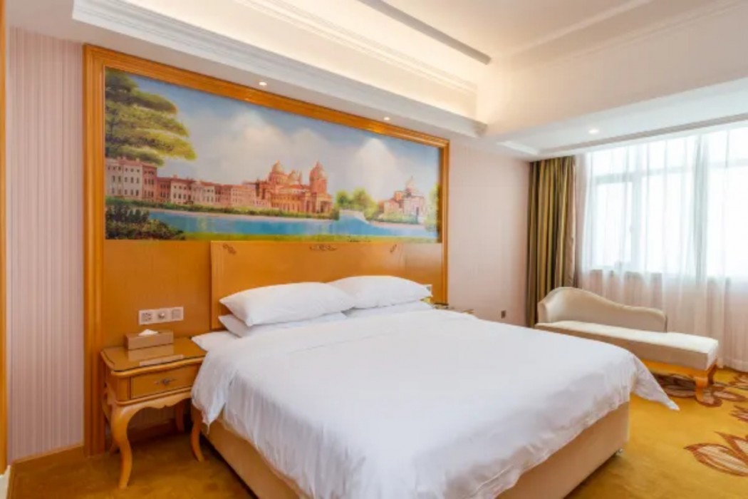 Vienna Hotel (Chenjiang Gelin Tonghua) 16/37