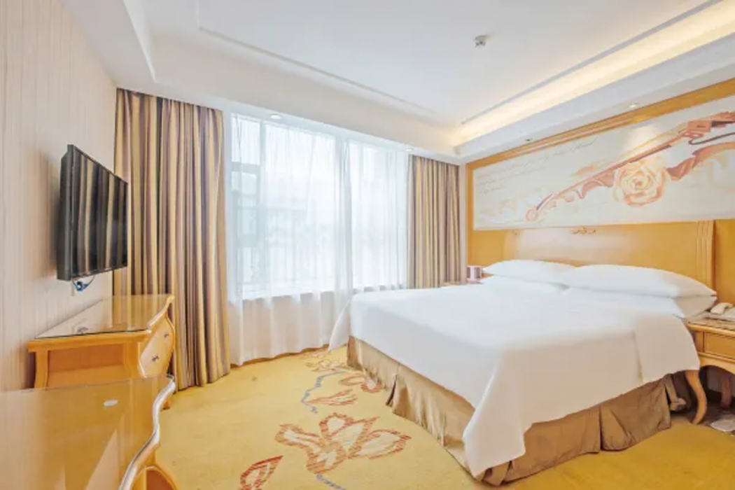 Vienna Hotel (Zhongshan Tanzhou) 16/42