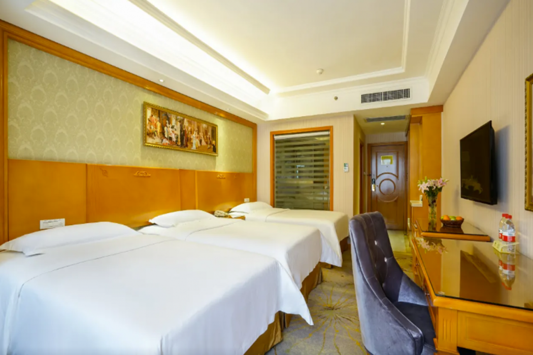 Vienna Hotel (Yangshuo Yinxiang) 22/56
