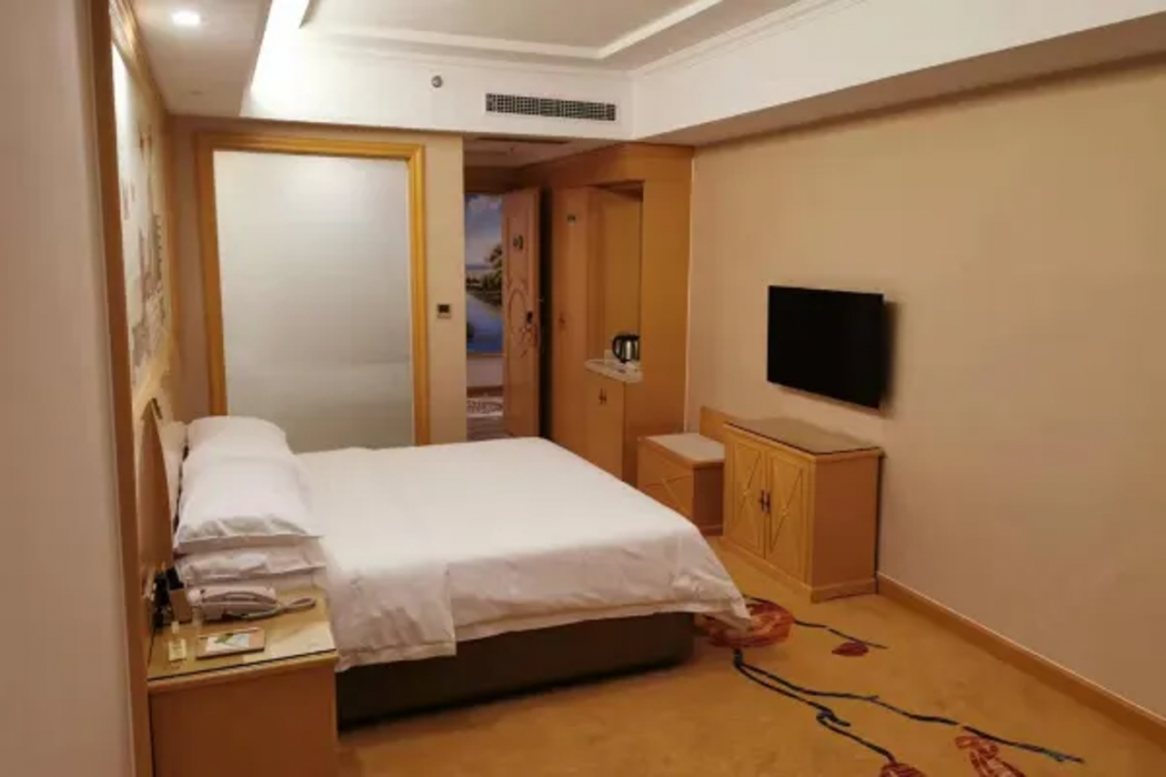 Vienna Hotel (Dongguan Dongkeng Wenge) 12/37