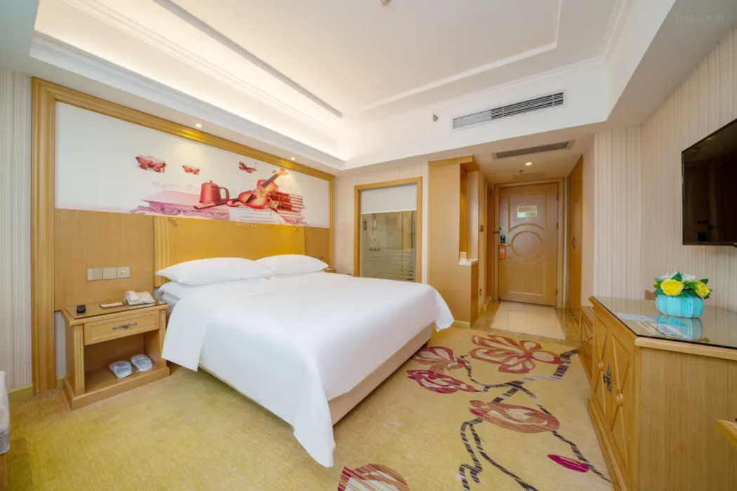 Vienna Hotel (Dongguan Huangjiang Liangfa) 8/8