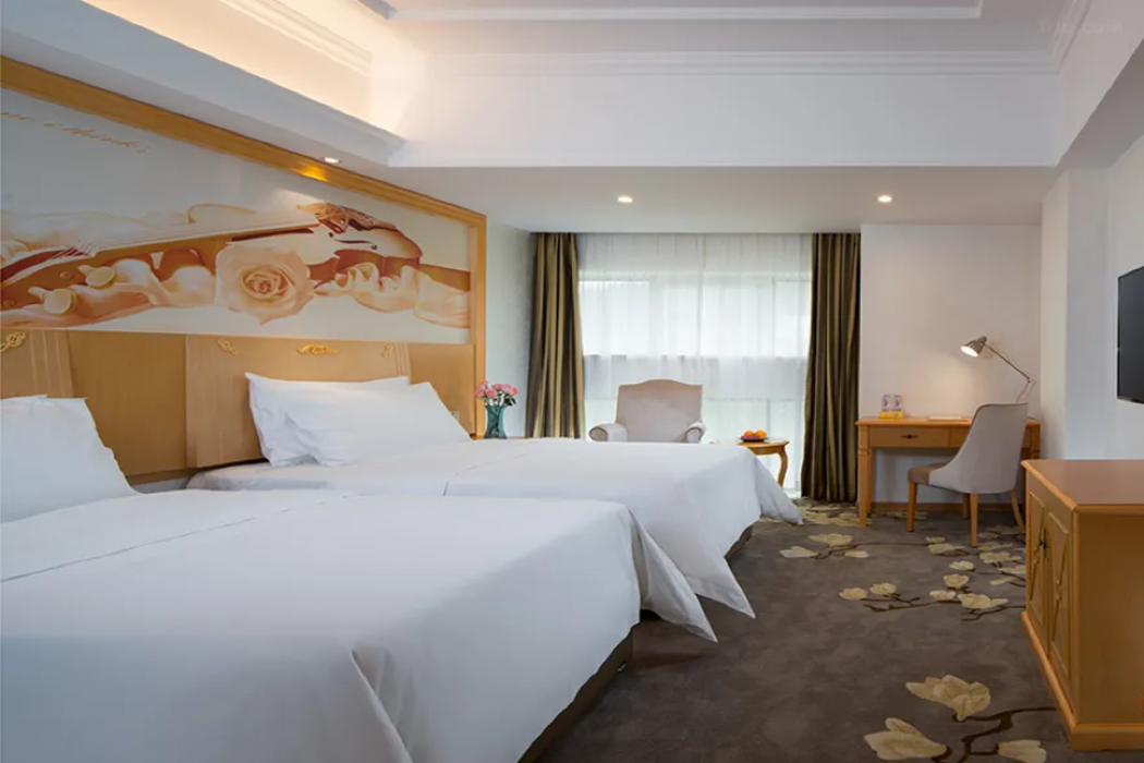 Vienna Hotel (Dongguan Huangjiang Tianxin) 10/44