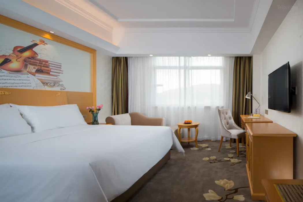 Vienna Hotel (Dongguan Huangjiang Tianxin) 11/44