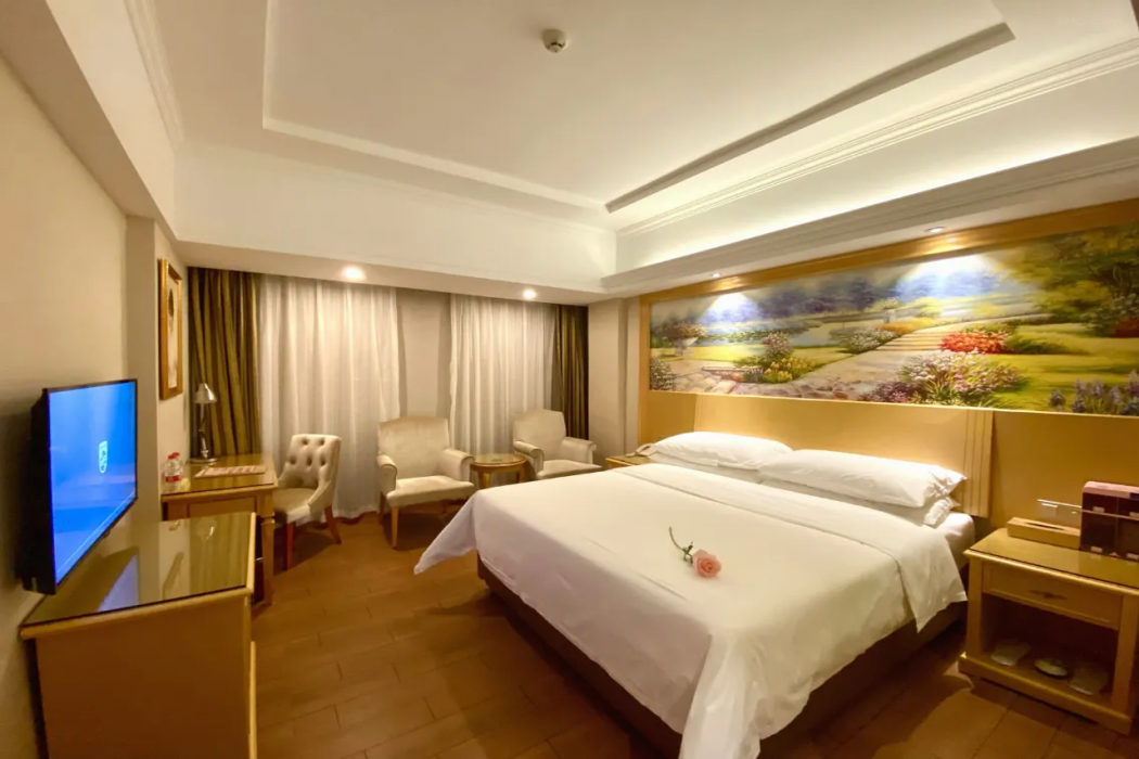 Vienna Hotel (Huidong Jilong) 15/33
