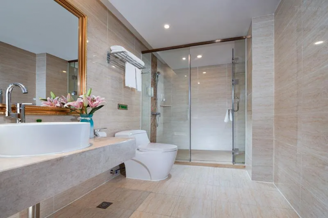 Vienna Hotel (Huidong Jilong) 21/33