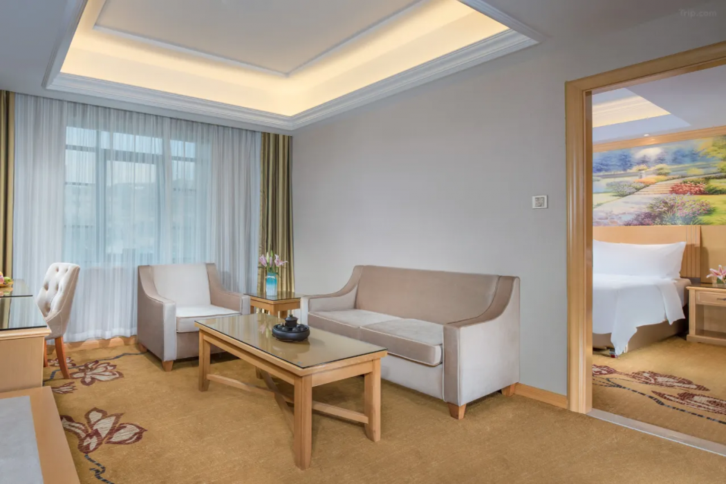 Vienna Hotel (Huidong Jilong) 14/33