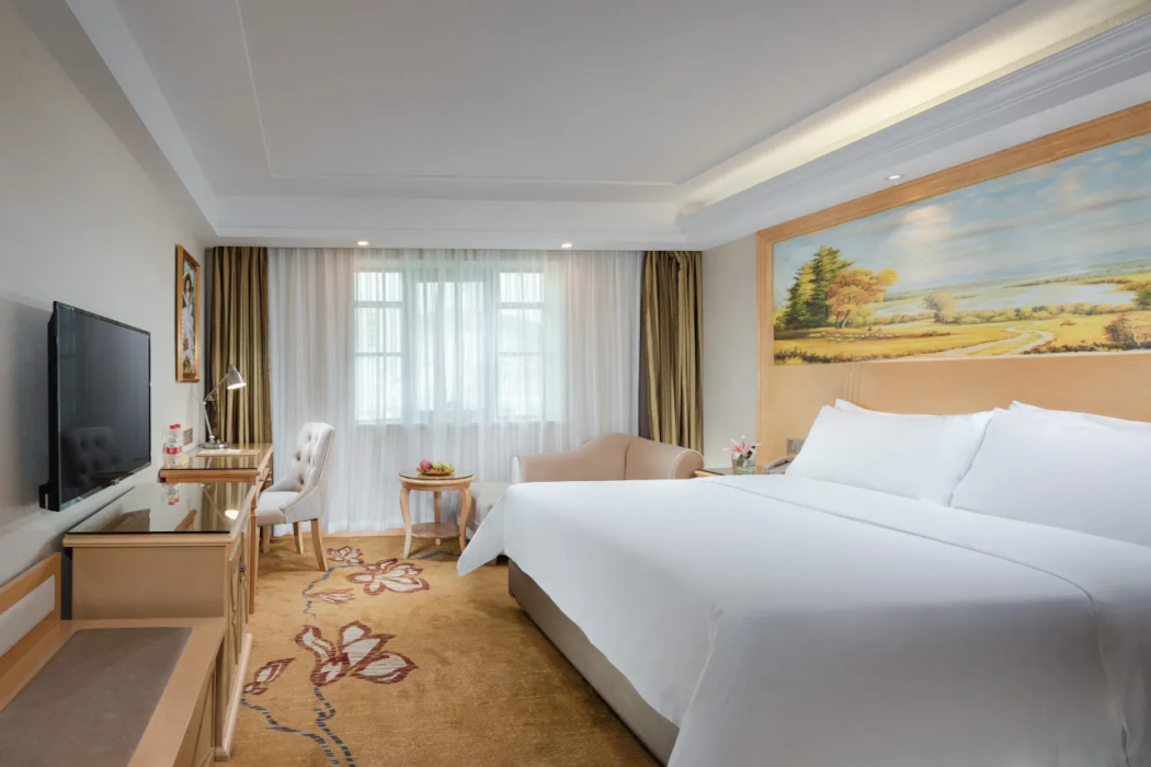 Vienna Hotel (Huidong Jilong) 13/33