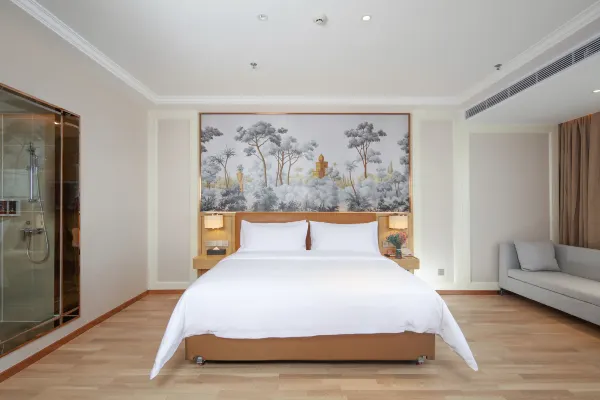 Vienna Hotel (Lingao store) 15/50