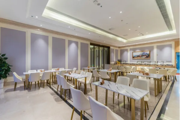 Vienna Hotel (Lingao store) 34/50