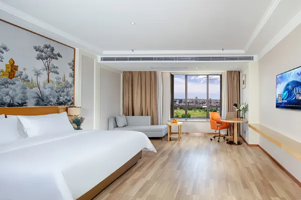 Vienna Hotel (Lingao store) 17/50