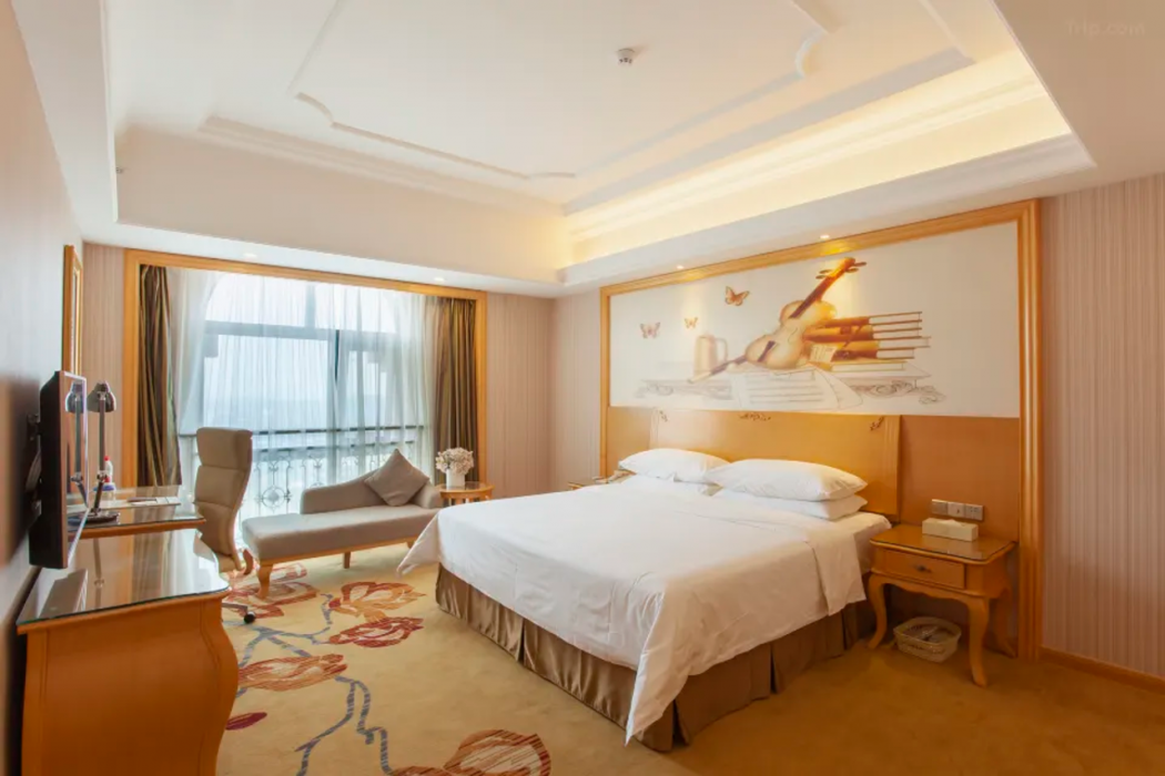 Vienna International Hotel (Pingdingshan Yingcheng) 17/50