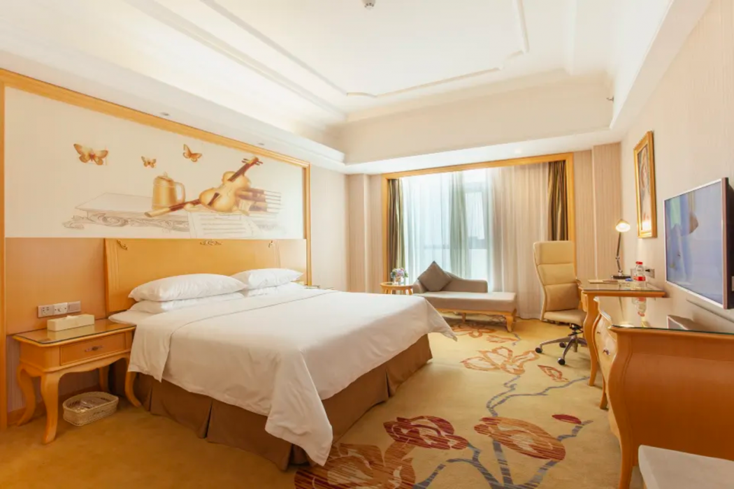 Vienna International Hotel (Pingdingshan Yingcheng) 18/50